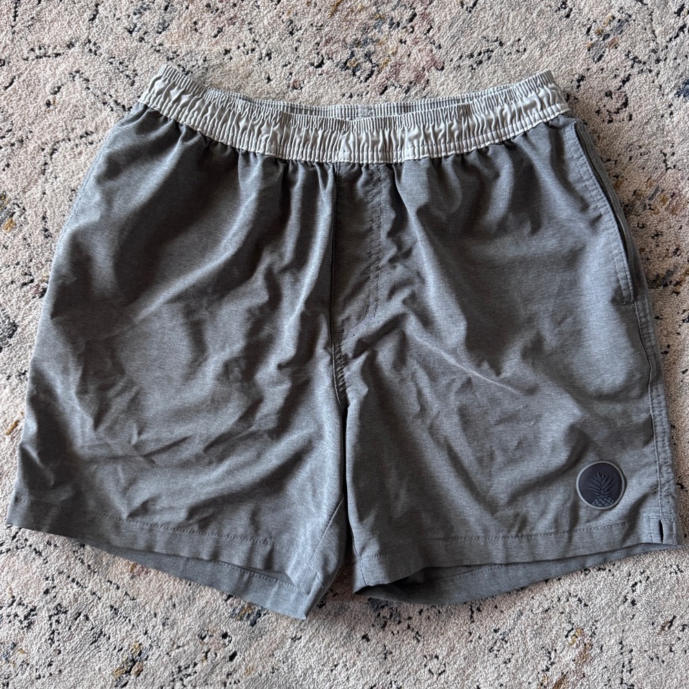 Chubbies Hybrid Board Shorts